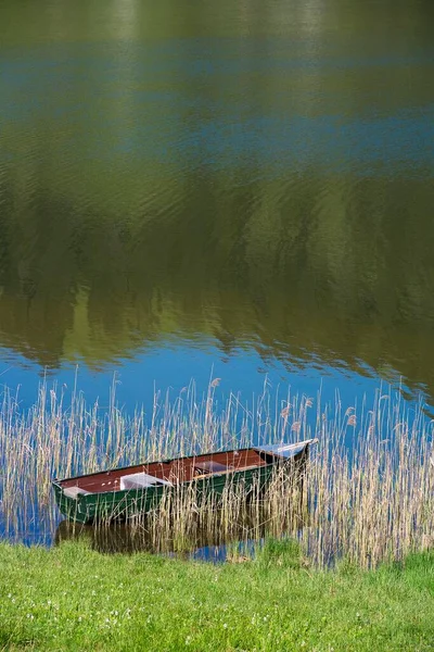 Ruderboot Schilf Ufer Des Schwarzsees Freiburg Schweiz Europa Europa — Stockfoto