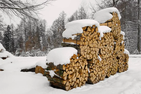 Schneebedeckter Haufen Brennholz — Stockfoto