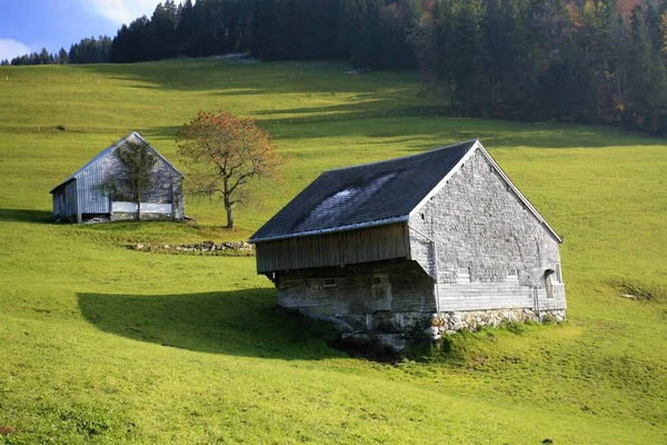 Alpine Hut Chapf Hill Amden Gall Switzerland Europe — Stockfoto