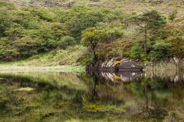 Upper Lake Killarney National Park Killarney County Kerry Ireland Europe — Photo