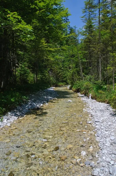 Griessbachklamm Gorge Erpfendorf Johann Tyrol Austria Europe — Stockfoto