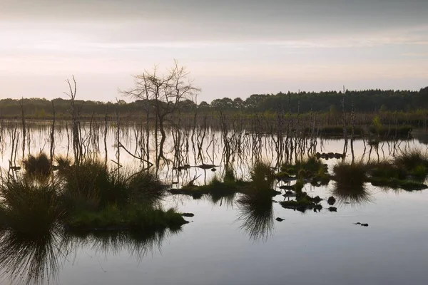 Moorland Bij Zonsopgang Emsland Nedersaksen Duitsland Europa — Stockfoto