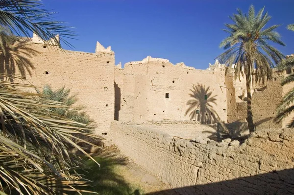 Palmtuin Bij Ghadames Ghadamis Unesco Werelderfgoed Libië Afrika — Stockfoto