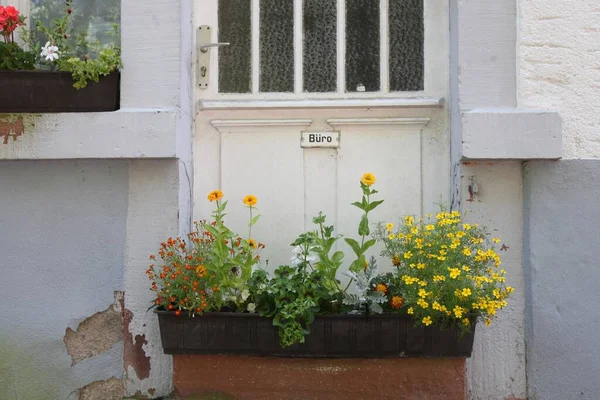 Entrance of an old office building with a flower box, former candle factory near Heidelberg, Baden-Wuerttemberg, Germany, Europe