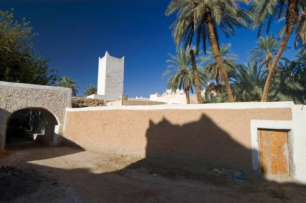 Palm Garden Ghadames Ghadamis Unesco World Heritage Site Libya Africa — Φωτογραφία Αρχείου