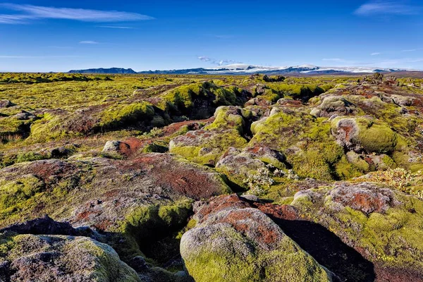 Лавовое Поле Покрытием Мосса Laufsklavara Заднем Вулкане Katla Kirkjubjarklaustur Suurland — стоковое фото