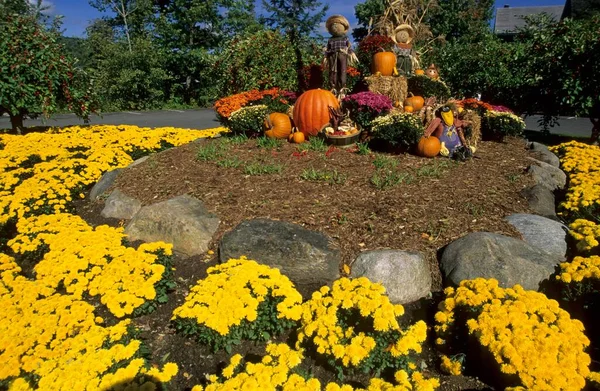 Tipik Amerikan Bahçe Dekorasyonu Sonbaharda Vermont Abd Kuzey Amerika — Stok fotoğraf