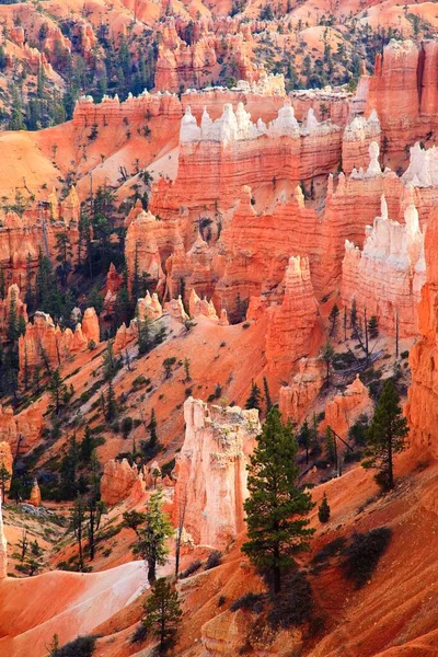 View Bryce Canyon Utah Usa North America — 스톡 사진