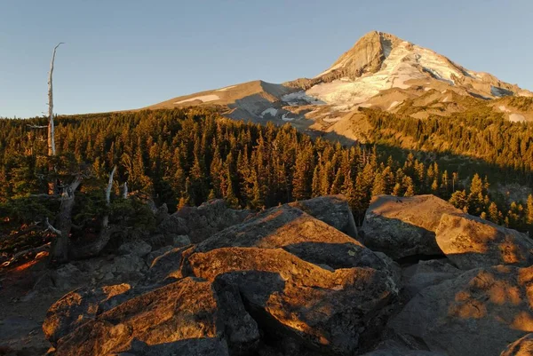 Hood Dağı Volkanı Doğu Kanadı Cascade Sıradağları Oregon Abd Kuzey — Stok fotoğraf