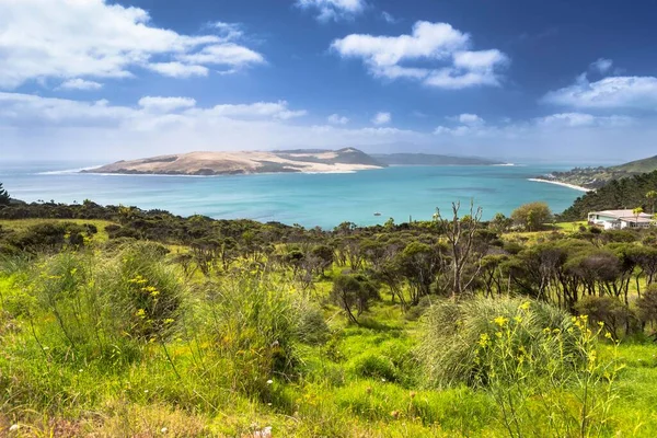 Omapere Hokianga Limanı Omapere Northland Bölgesi Yeni Zelanda Okyanus — Stok fotoğraf