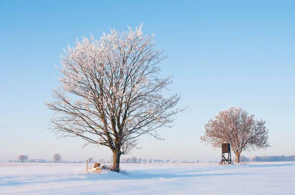 Winter Landscape Lower Saxony Germany Europe — Stock Photo, Image