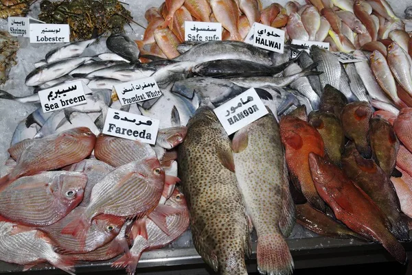 Tropické Ryby Rybí Trh Abú Dhabí Emirát Abú Dhabí Spojené — Stock fotografie