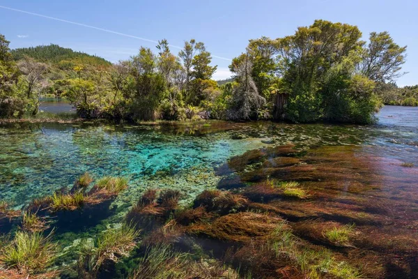 Clear water, central overflow Te Waikoropupu Springs, also Pupu Springs, Golden Bay, Tasman Region, Southland, New Zealand, Oceania