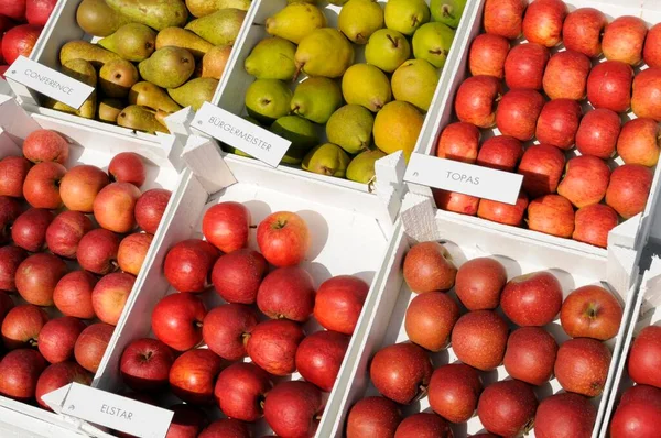 Fruit Stand Altes Land Region Lower Saxony Germany Europe — Stock Photo, Image