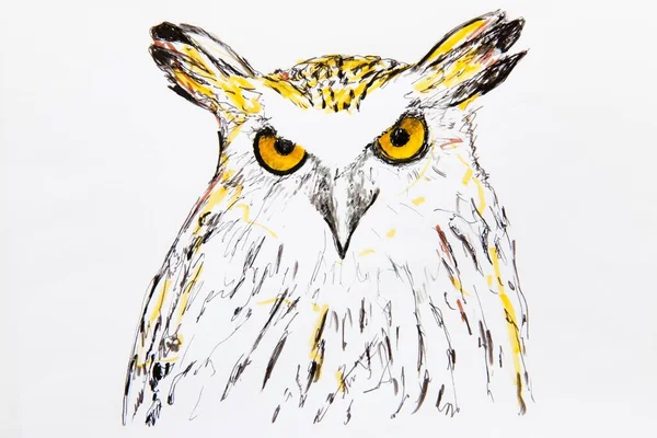 Malay Fish Owl Bubo Ketupu Drawing Artist Gerhard Kraus Kriftel — Zdjęcie stockowe