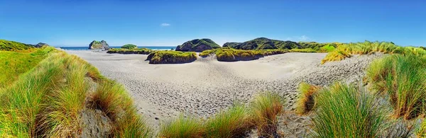 Sandy Beach Grassy Dunes Wharariki Beach Cape Farewell Puponga Tasman — Stock Fotó
