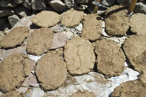 Cow Chips Natural Heating Material Ladakh Jammu Kashmir India Asia — ストック写真