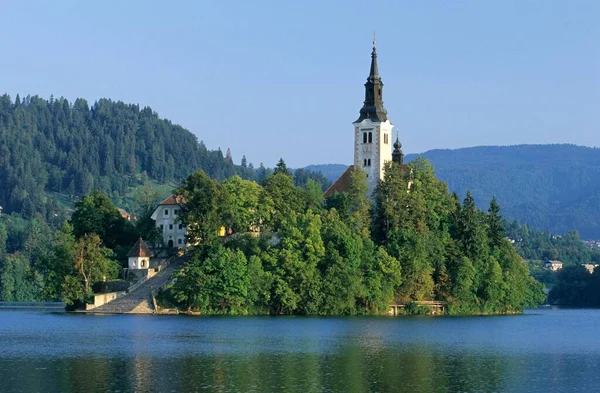 Zarándoksziget Templommal Bled Tónál Gorenjska Régió Szlovénia Európa — Stock Fotó