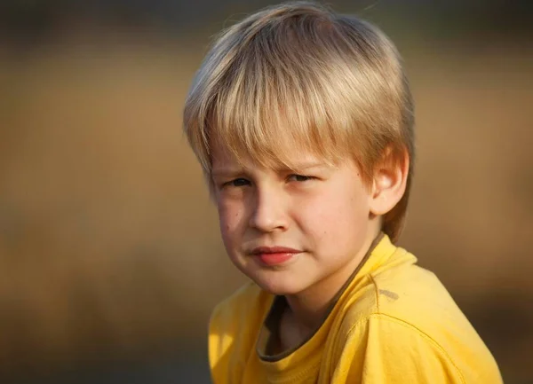 Boy Portrait Hohenlohe Germany Europe — Fotografia de Stock