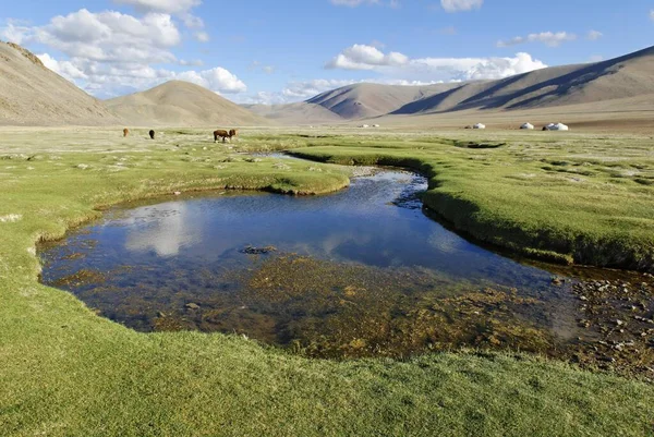 Vale Com Córrego Yurts Altai Mongólia Ásia — Fotografia de Stock