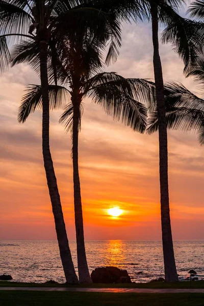 Tramonto Sulla Spiaggia Costa Kohala Big Island Hawaii Stati Uniti — Foto Stock