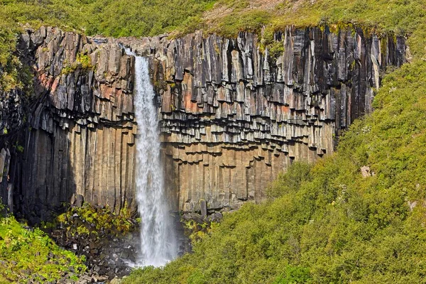 Svartifoss Skaftafell Austurland Isla — Foto de Stock