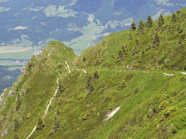 Trail Kitzbueheler Horn Johann Tyrol Austria Europe — Stockfoto