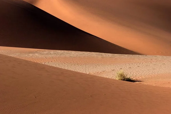 Wydmy Piaszczyste Pustynia Namib Sossusvlei Namibia Afryka — Zdjęcie stockowe
