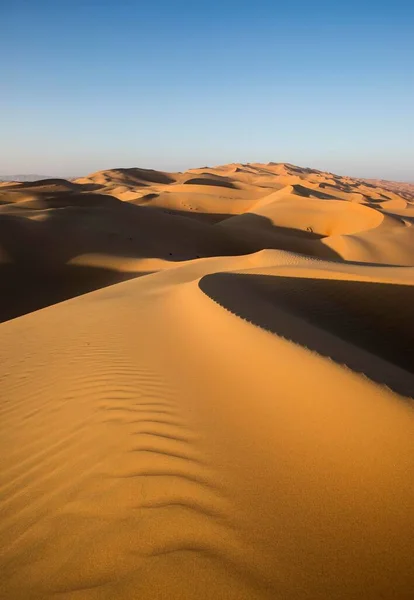Sand Dunes Rub Khali Empty Quarter United Arab Emirates Asia — Stok fotoğraf