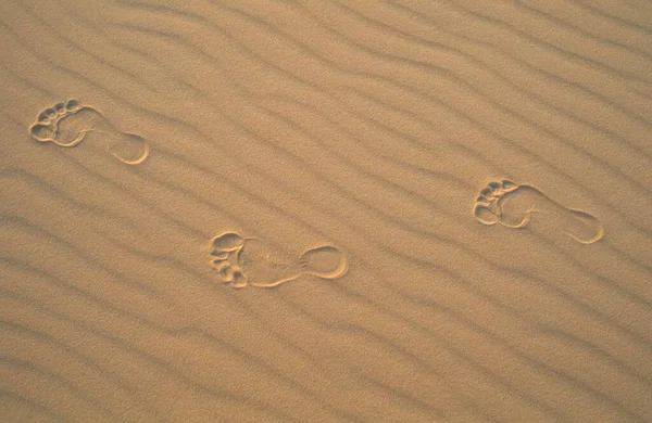 Foot Print Sand Libya Africa — 스톡 사진
