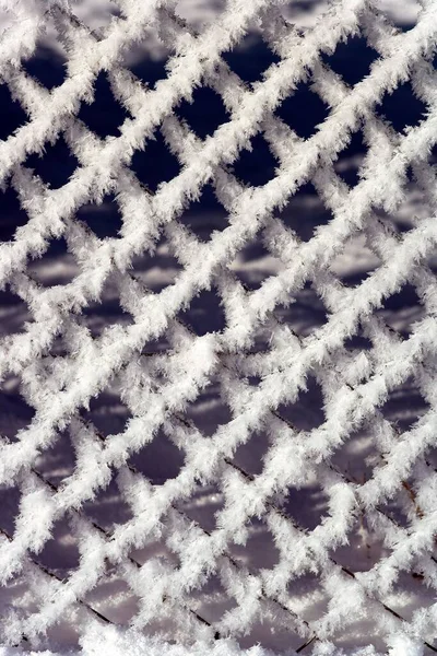 Chain Link Fence Hoarfrost Snow Ice — 스톡 사진