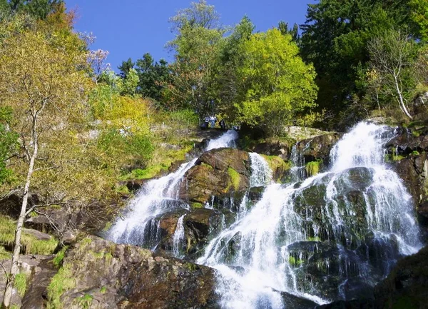 Todtnau Waterfall Black Forest Germany Europe — Stockfoto