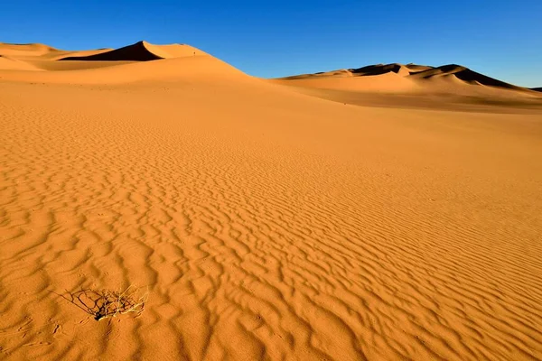 Sand Dunes Sahara Desert Immidir Mouydir Erg Takaraft Tamanrasset Province — Photo