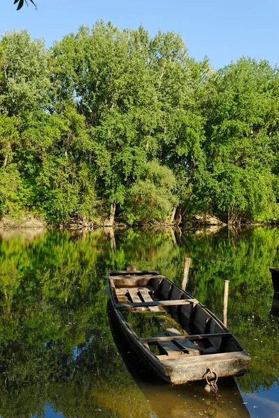 Boot Auf Dem Fluss Bodrog Tokaj Ungarn — Stockfoto