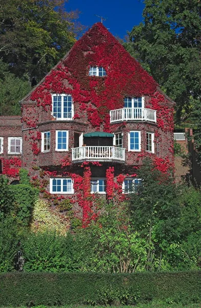 Villa Covered Autumn Coloured Vine Leaves Blankenese Hamburg Germany Europe — Zdjęcie stockowe