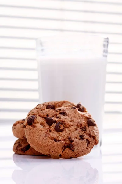 초콜릿 쿠키와 — 스톡 사진