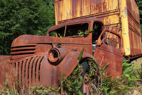 Plants Growing Out Vintage Truck Scrap Car Kestner Homestaed Olympic — Stockfoto