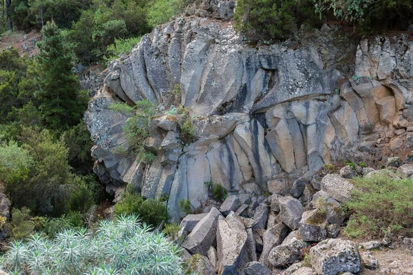 Volcanic Basalt Rosette Piedra Rosa Canary Islands Tenerife Spain Europe — Stock Photo, Image