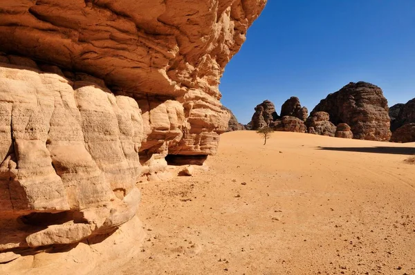 Sandsteinfelsen Bei Tikobaouine Nationalpark Tassili Ajjer Unesco Weltkulturerbe Wilaya Illizi — Stockfoto