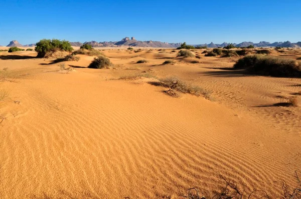 Small Sand Dunes Wadi Erg Admer Wilaya Illizi Algeria Sahara — Stockfoto