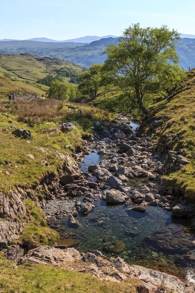 Mountain Stream Honister Pass Borrowdale Lake District National Park Cumbria — ストック写真