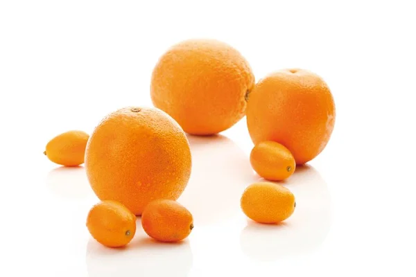 Oranges Cumquats Citrus Fruits — Stockfoto