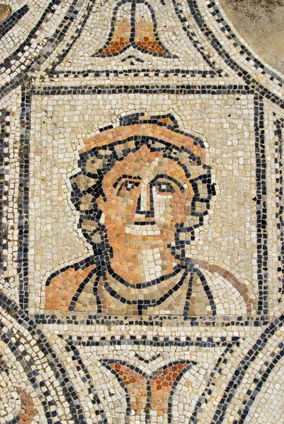 Floor Mosaic Hercules Volubilis Morocco Africa — Stockfoto