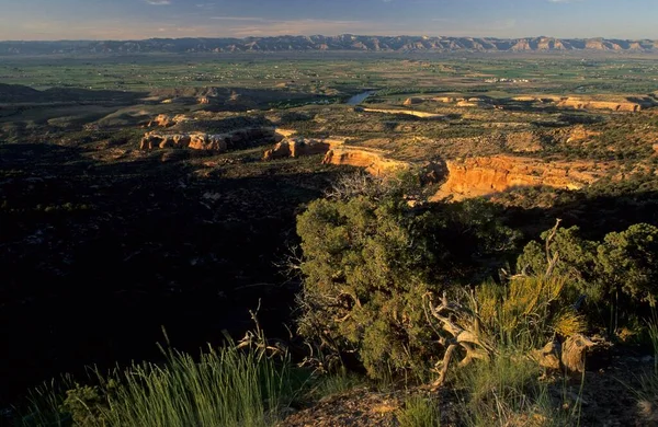 Blick Auf Das Colorado Tal Mcinnis Canyons National Conservation Area — Stockfoto