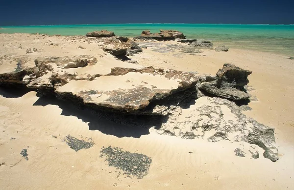 Strand Rotsachtige Kust Bij Cape Range National Park Ningaloo Reef — Stockfoto