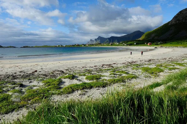 Beach Lofoten Northern Norway Norway Scandinavia Europe — Zdjęcie stockowe