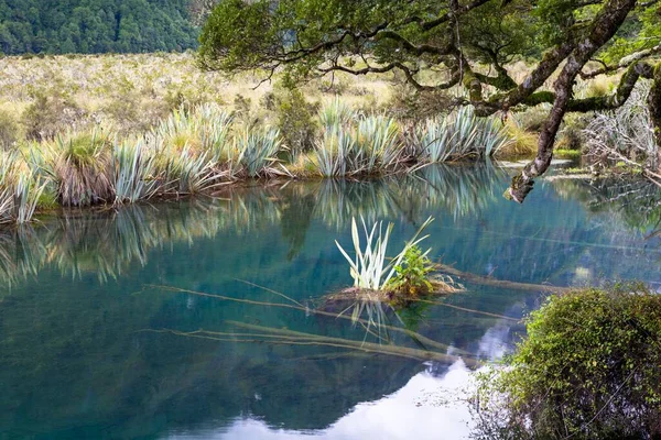 Crystal Clear Mirror Lakes Anau Downs Southland Region New Zealand —  Fotos de Stock
