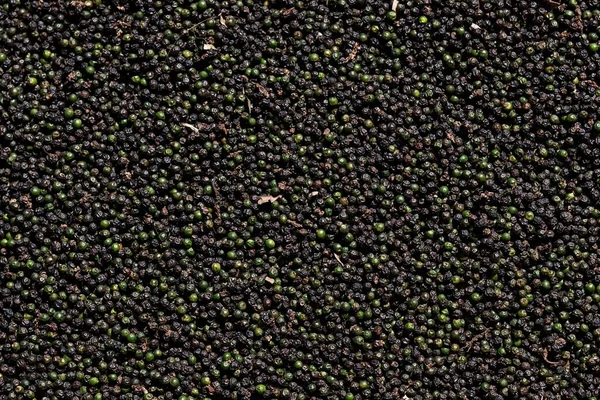 Black peppercorns, Myanmar, Asia