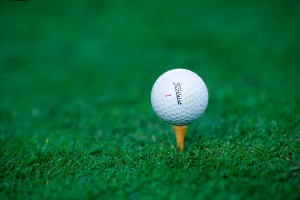 Golf Ball Tee Sweden Europe — Stock Photo, Image
