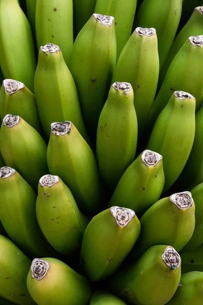 Bananas Musa Palma Canary Islands Spain Europe — Stock fotografie
